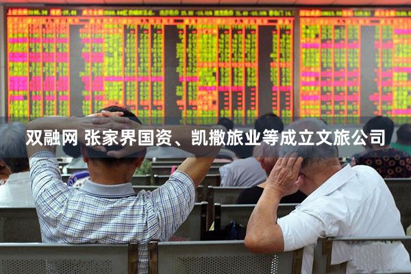 双融网 张家界国资、凯撒旅业等成立文旅公司