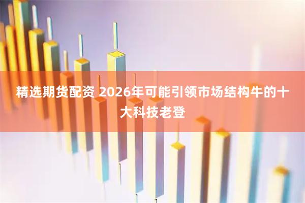 精选期货配资 2026年可能引领市场结构牛的十大科技老登