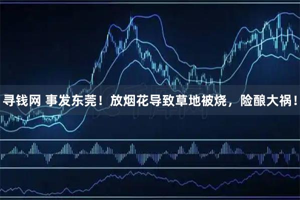 寻钱网 事发东莞！放烟花导致草地被烧，险酿大祸！